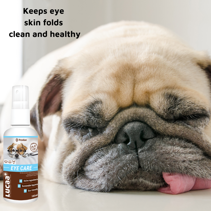 Eye Care Spray Cleaner for Cats Dogs Ingenious Probiotics