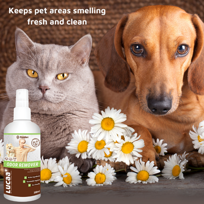 Pet Probiotic Odour Remover - 300ml Spray