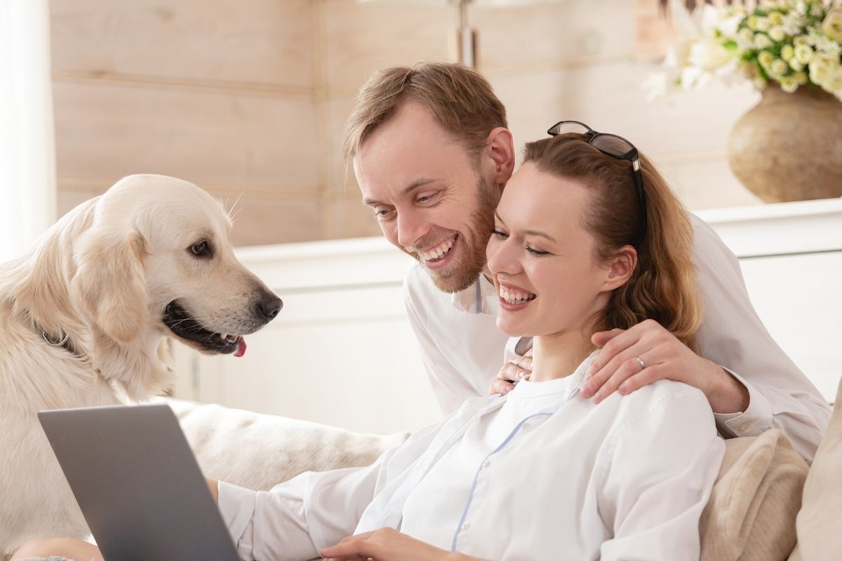 Couple learning about topical probiotics online with dog in a balanced home environment