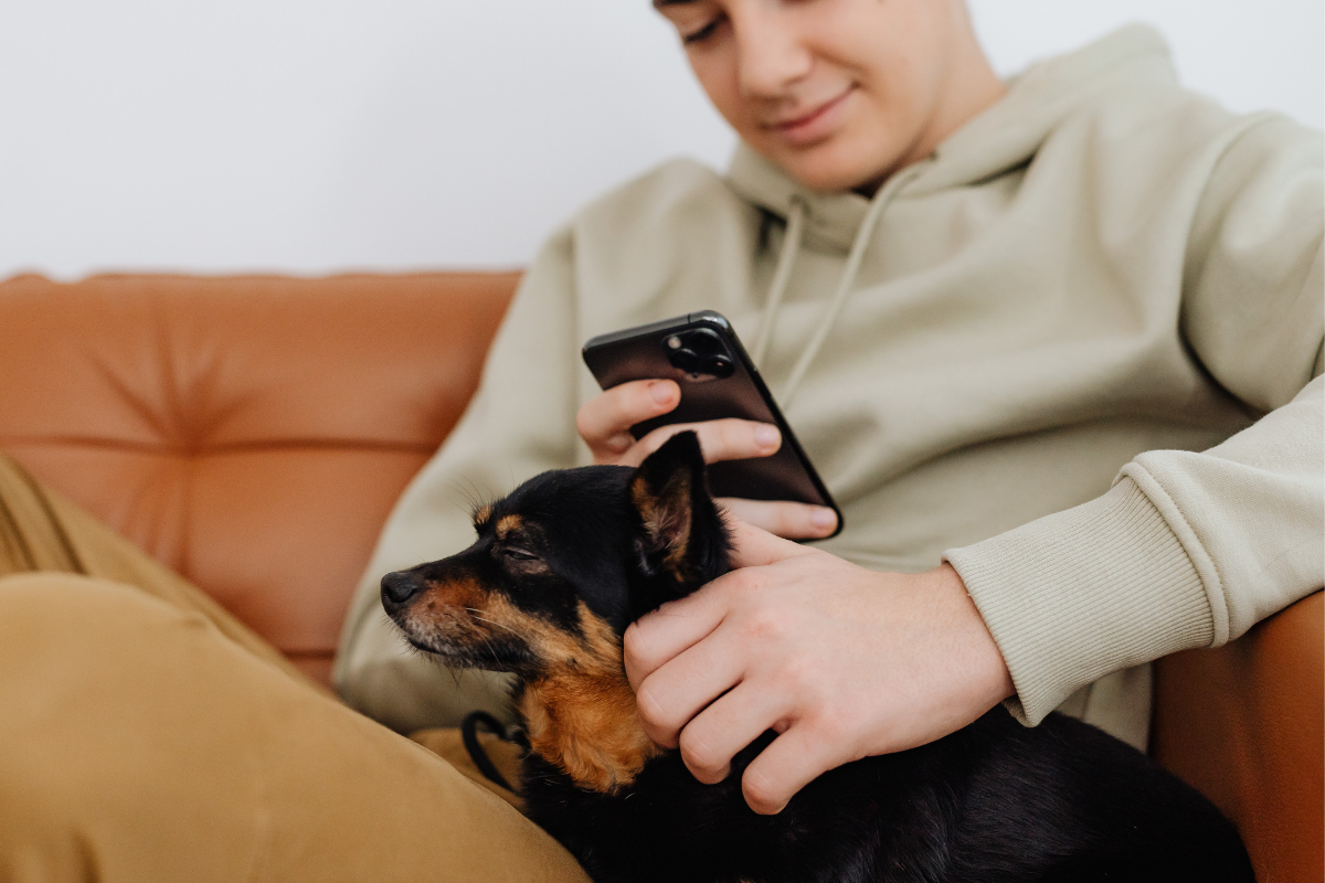 Pet owner reading customer reviews about topical probiotic pet care at home