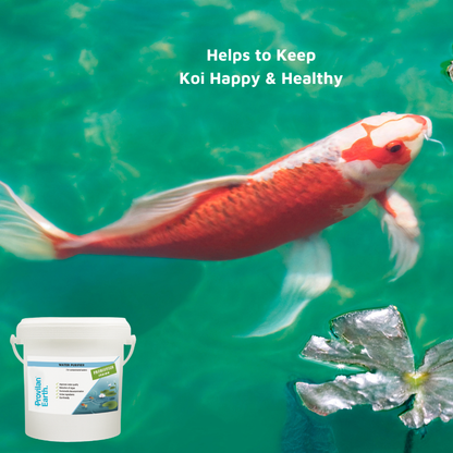 Provilan Earth Water Purifier