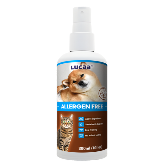 pet allergy prevention