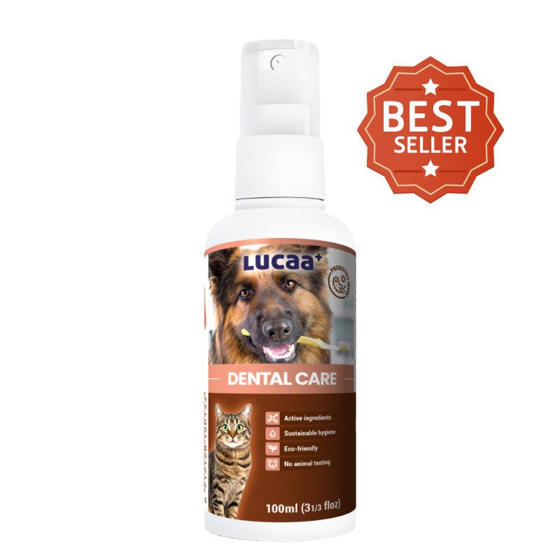dental spray for dogs