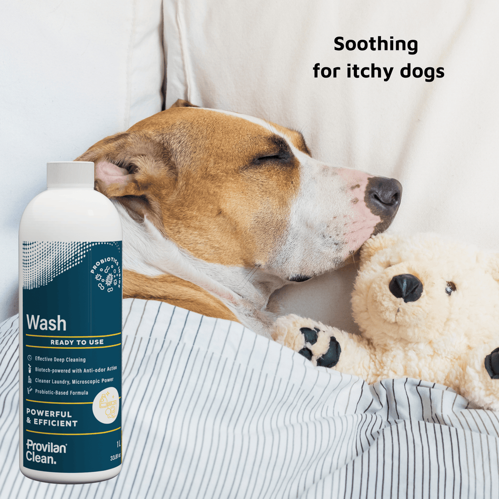 Provilan CLEAN Probiotic Laundry Detergent | Ingenious Probiotics ...
