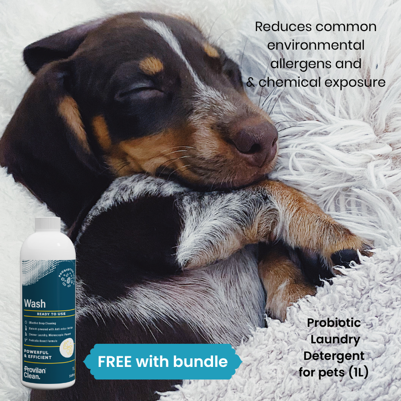 Probiotic pet skin allergy relief pack for itchy dogs and cats helping reduce environmental triggers