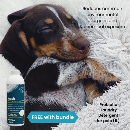 Probiotic pet skin allergy relief pack for itchy dogs and cats helping reduce environmental triggers