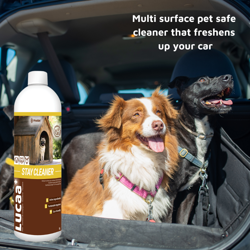 Pet Friendly Surface Spray