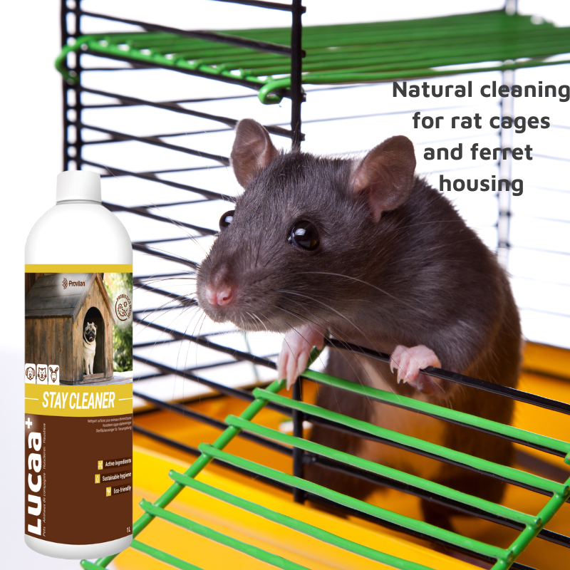 Pet Friendly Surface Spray