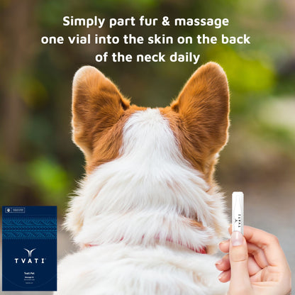 Natural Joint Support for Dogs