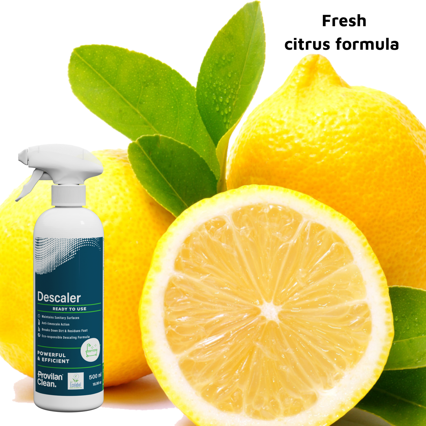 Provilan Clean Natural De-Scaler