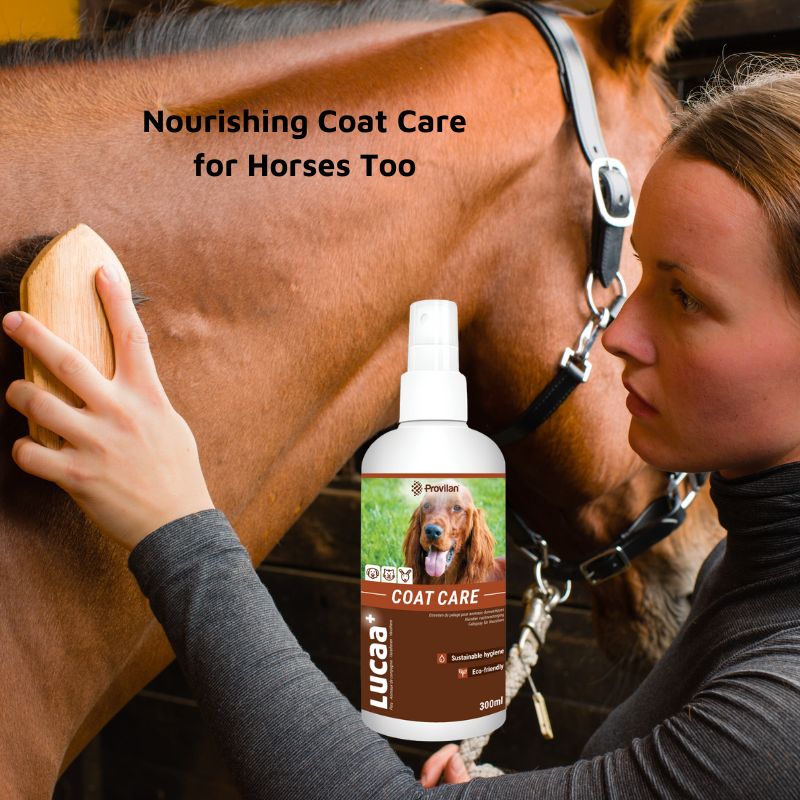 natural horse coat care