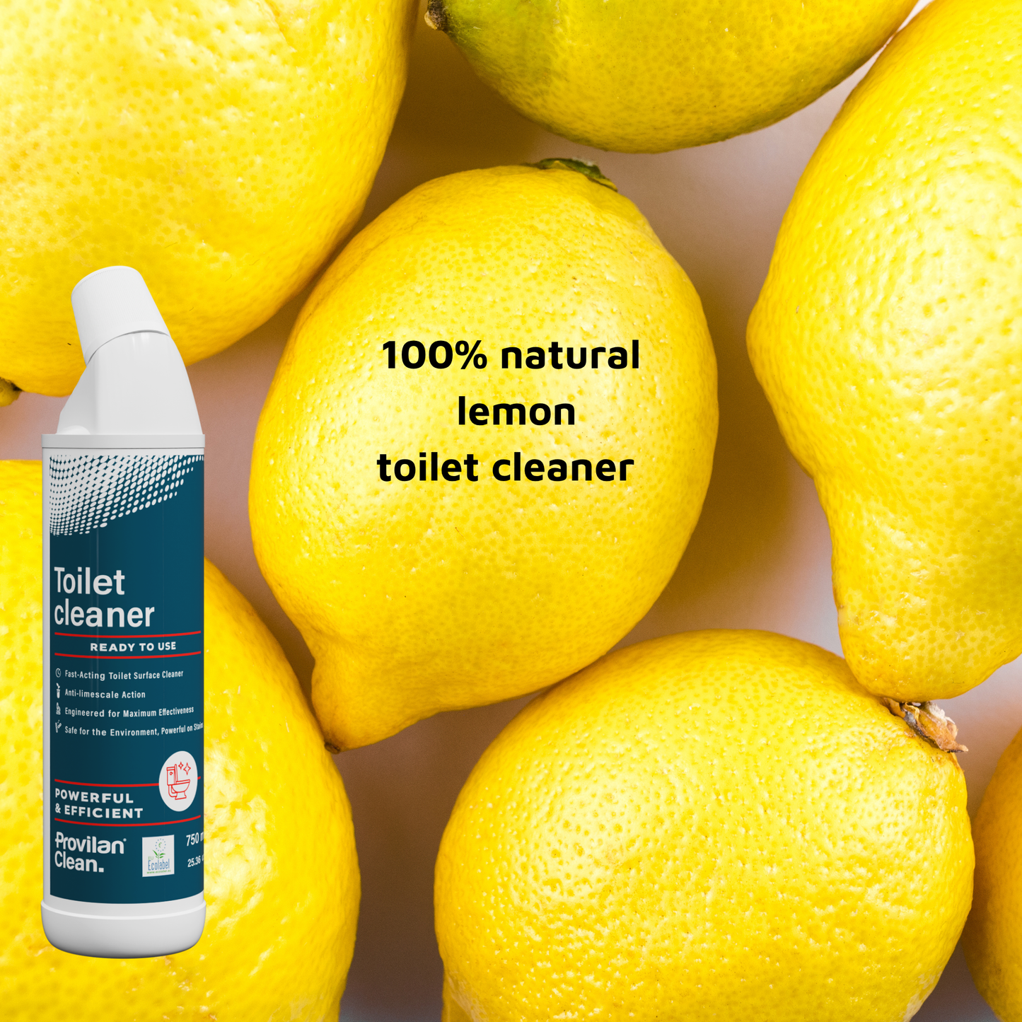 Natural Toilet Cleaner