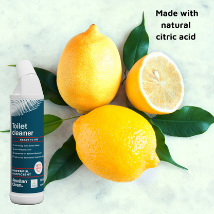 Natural Toilet Cleaner