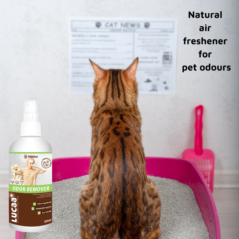 Pet Probiotic Odour Remover - 300ml Spray
