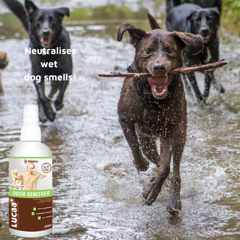 Pet Probiotic Odour Remover - 300ml Spray