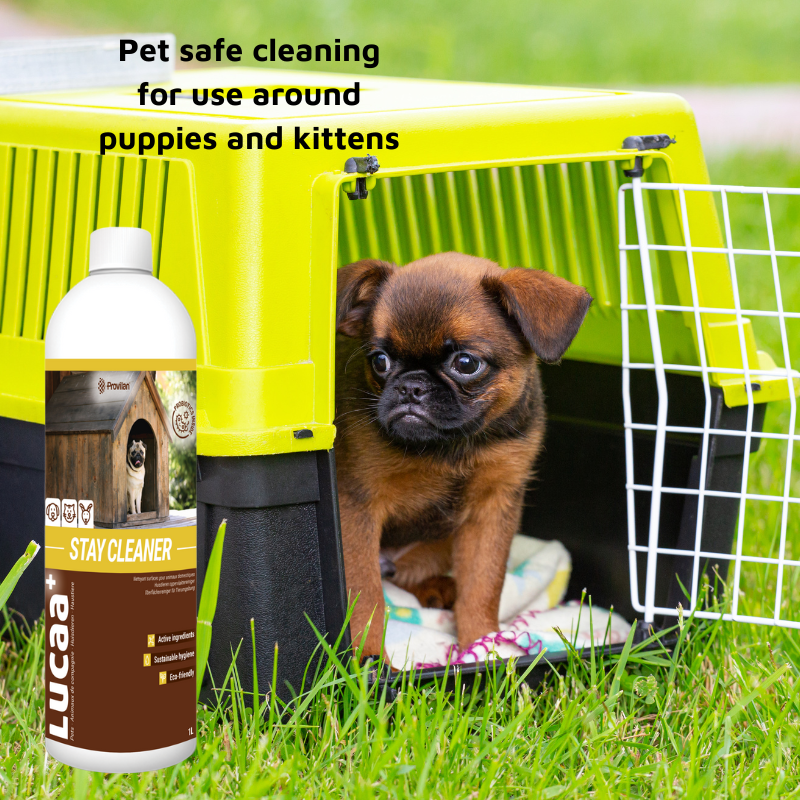 Pet Friendly Surface Spray