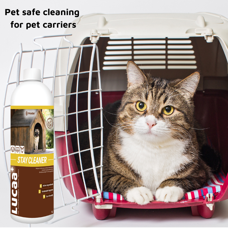 Pet Friendly Surface Spray