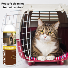 Pet Friendly Surface Spray