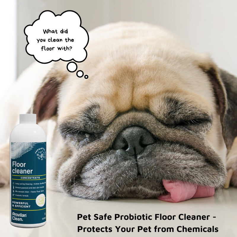 Pet Skin Allergy Remedy Pack - FREE Probiotic Laundry Detergent 300ml!