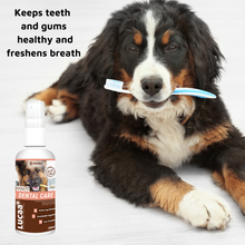 Pet Probiotic Dental Care - 100ml Spray