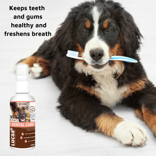 Pet Probiotic Dental Care - 100ml Spray