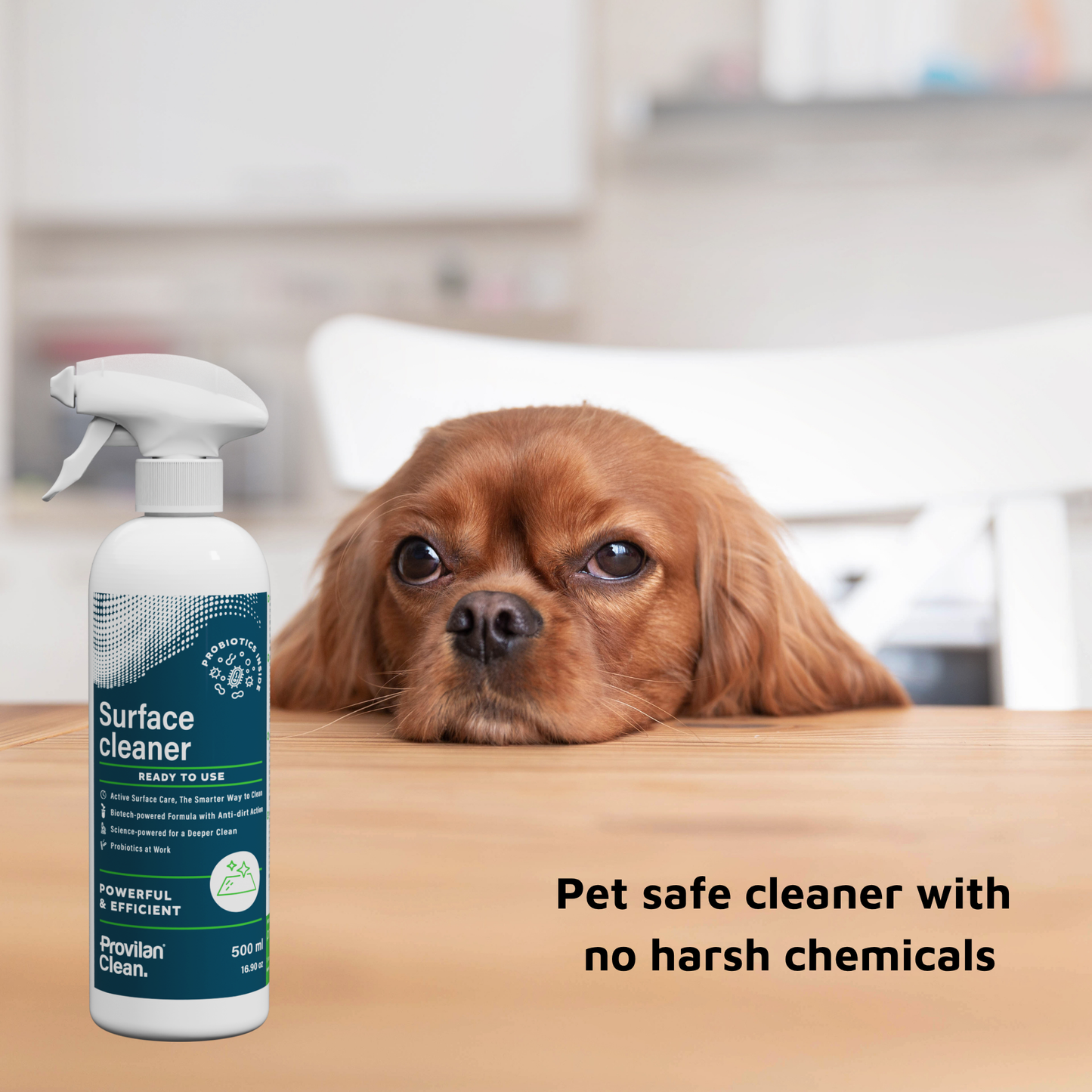 Probiotic Surface Cleaner