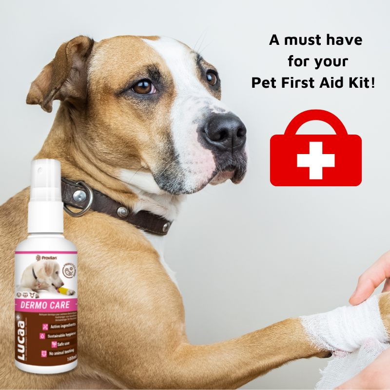 Pet Probiotic Dermo (Wound) Care - 100ml Spray