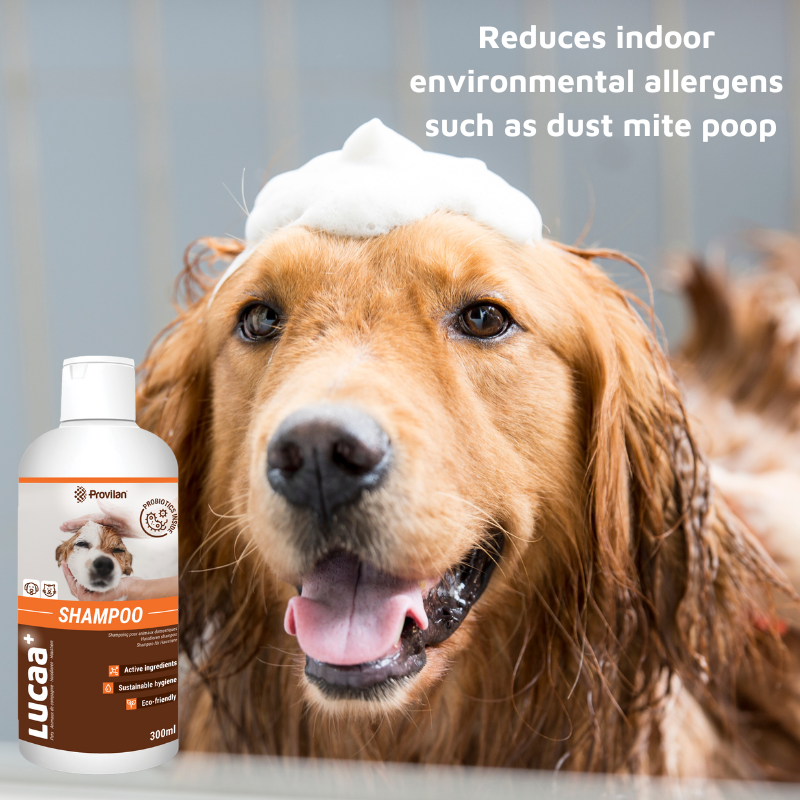 Pet Probiotic Shampoo
