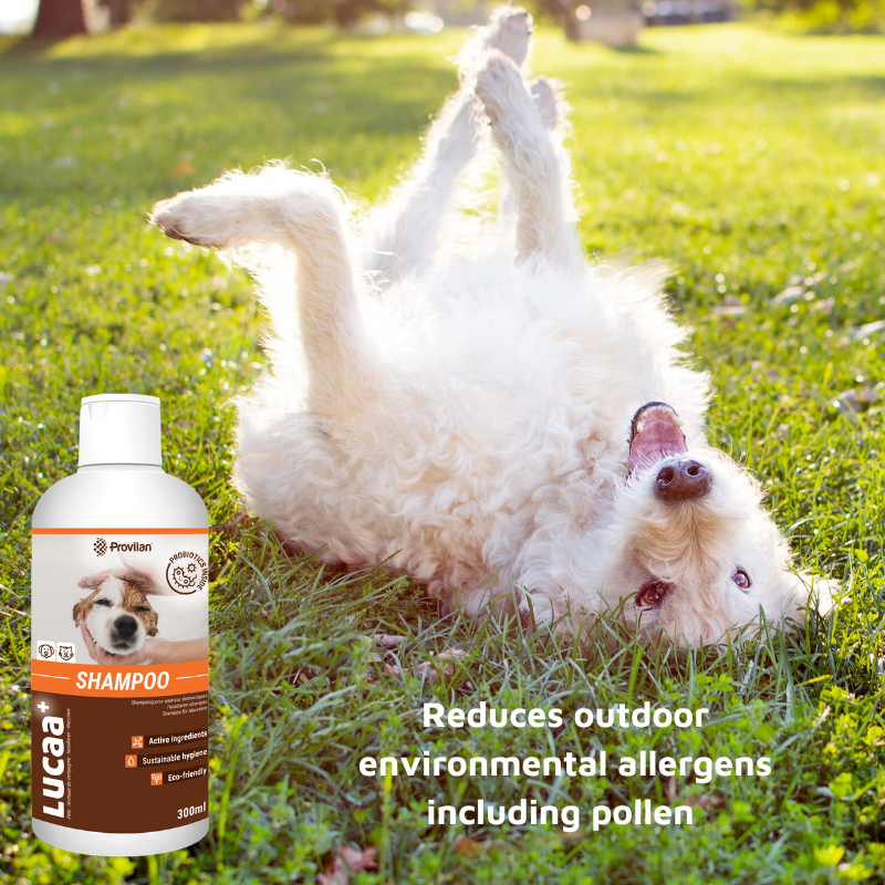 Pet Probiotic Shampoo