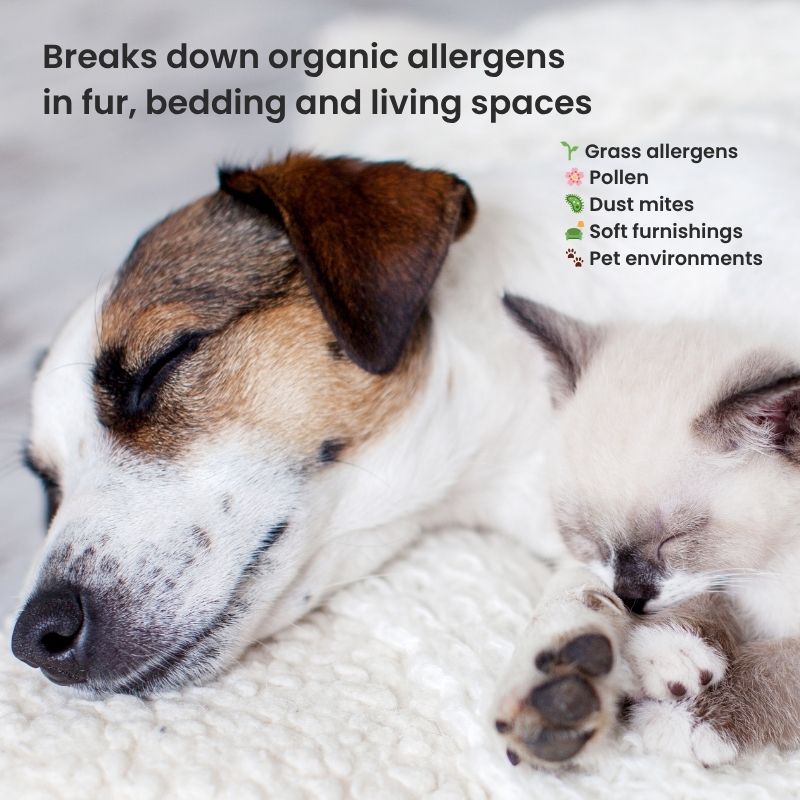 Dog and cat on bedding with LUCAA+ Probiotic Allergen-Free for pet home allergens