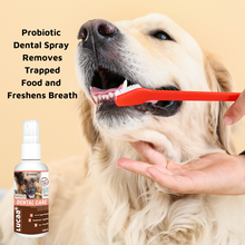 raw fed pets support psck