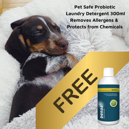 Pet Skin Allergy Remedy Pack - FREE Probiotic Laundry Detergent 300ml!