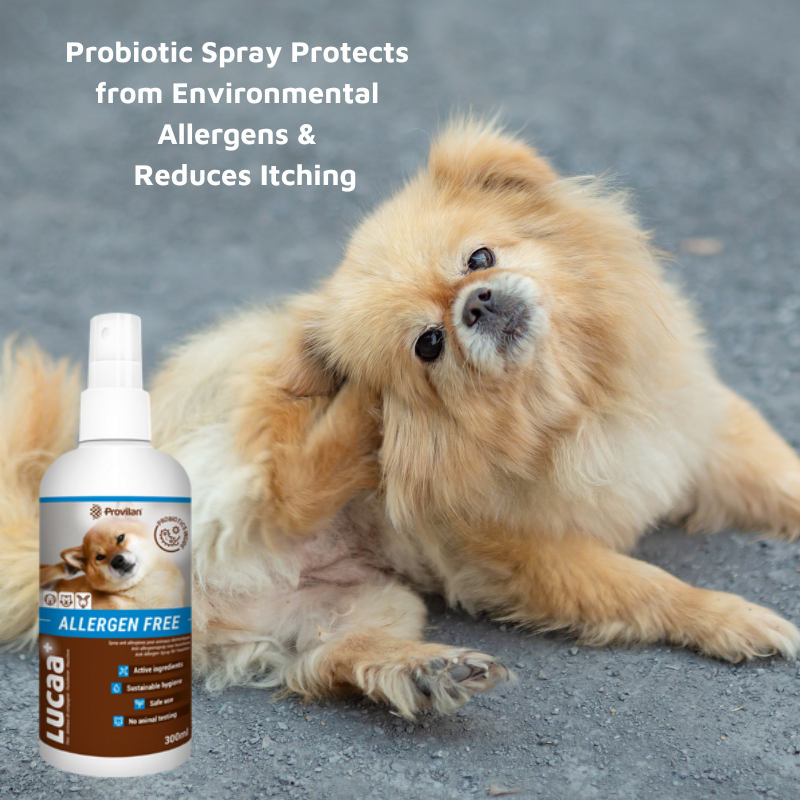 Pet Skin Allergy Remedy Pack - FREE Probiotic Laundry Detergent 300ml!
