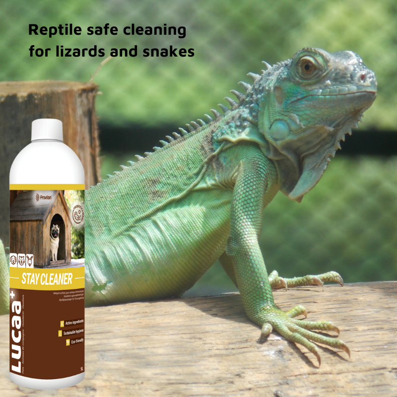 Pet Friendly Surface Spray