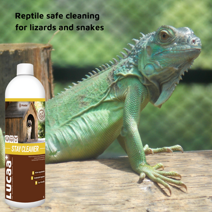 Pet Friendly Surface Spray