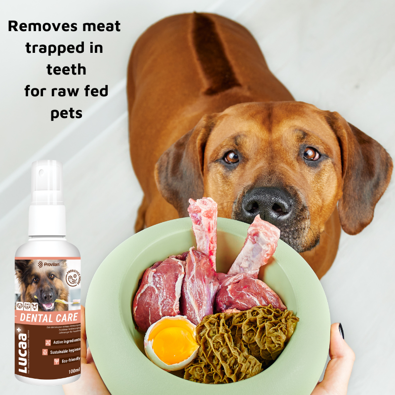 Pet Probiotic Dental Care - 100ml Spray