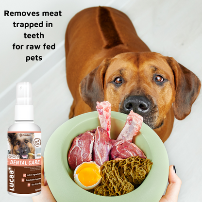 Pet Probiotic Dental Care - 100ml Spray