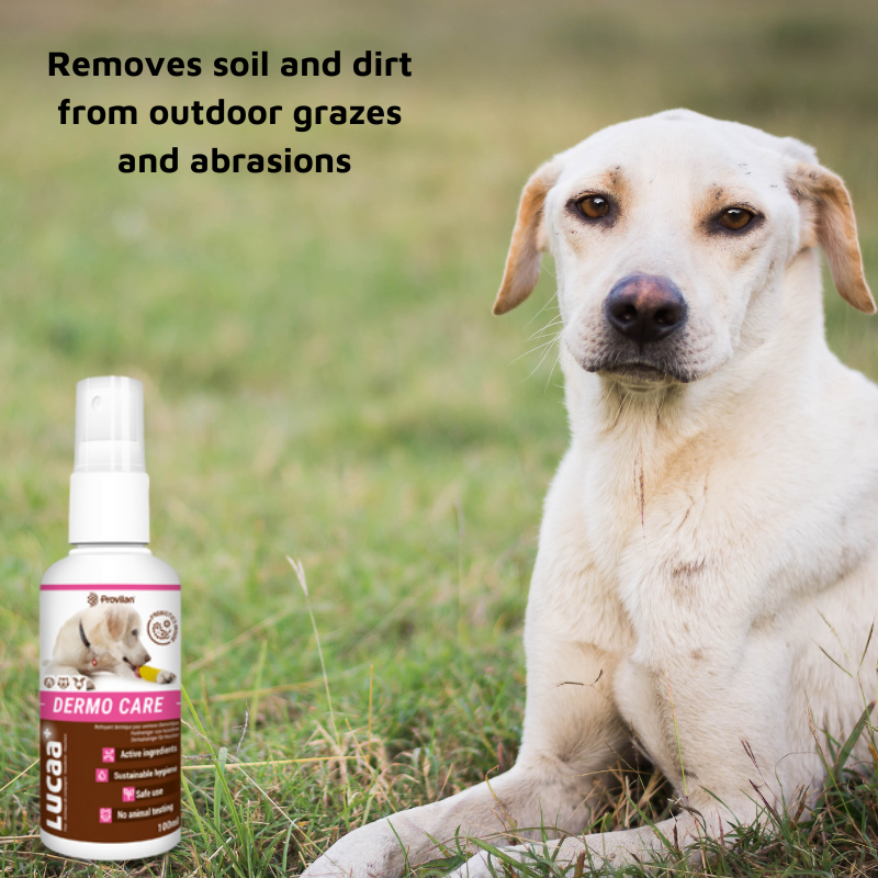 Pet Probiotic Dermo (Wound) Care - 100ml Spray