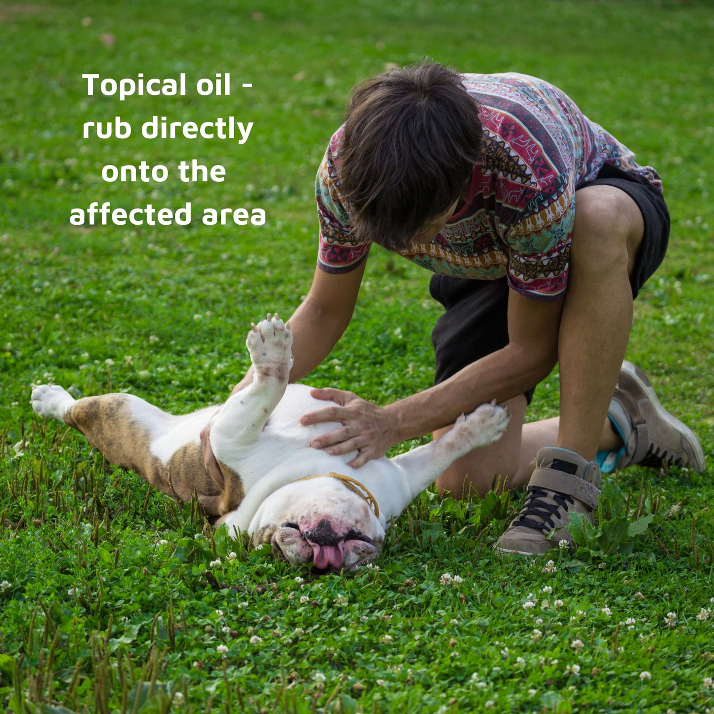 Tvati - Coconut Mobility Massage Oil for Pets