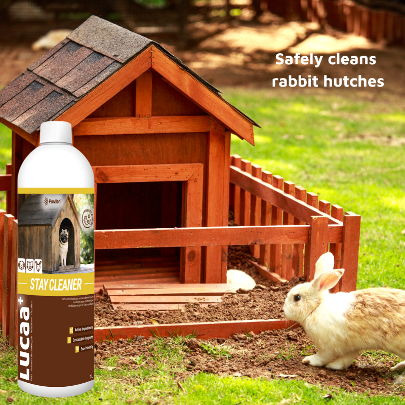 Pet Friendly Surface Spray