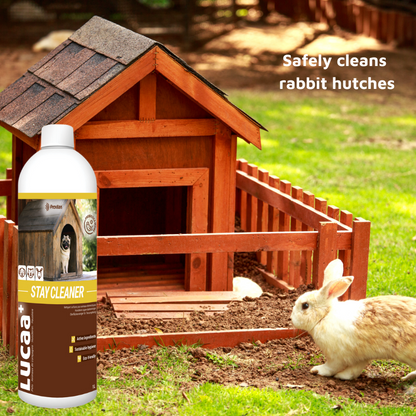 Pet Friendly Surface Spray