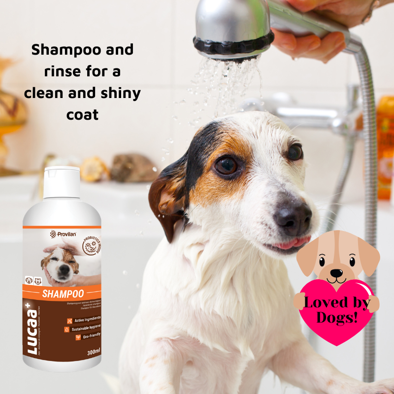 Pet Probiotic Shampoo