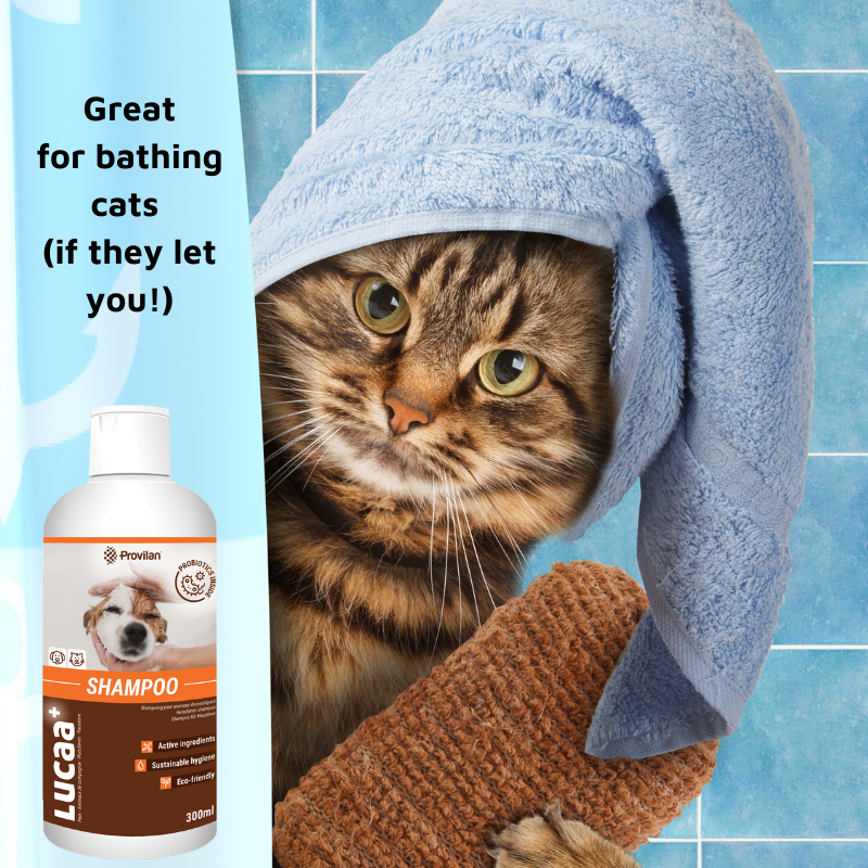 Pet Probiotic Shampoo