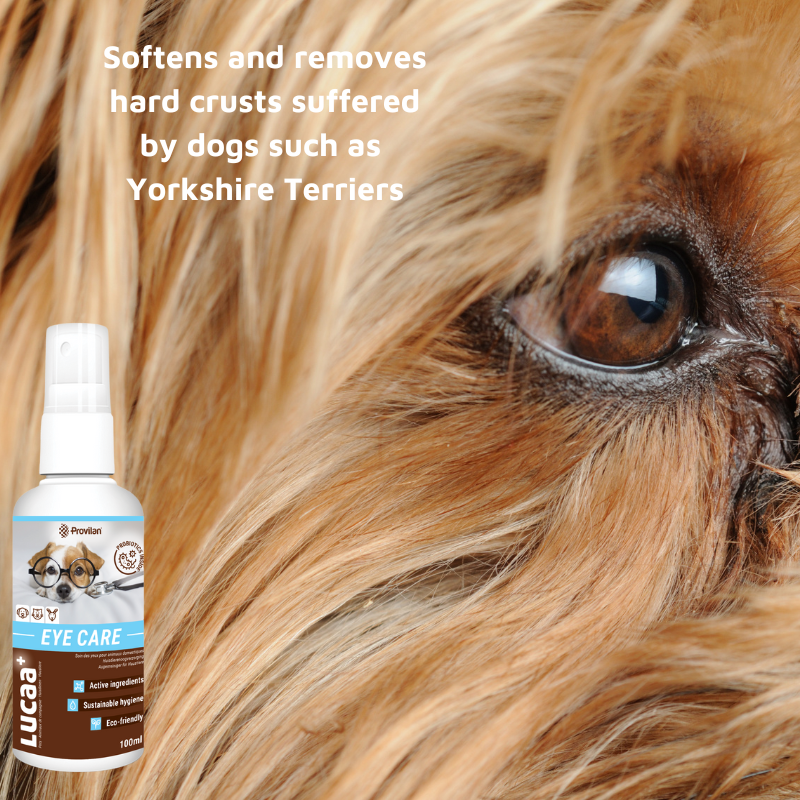 Pet Probiotic Eye Care - 100ml Spray