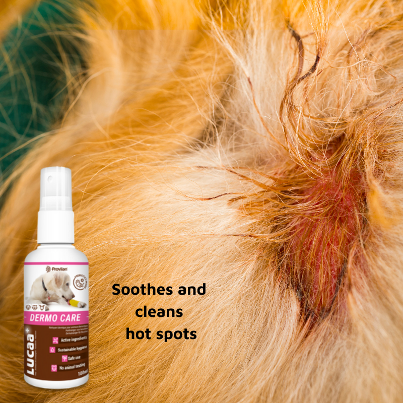 Pet Probiotic Dermo (Wound) Care - 100ml Spray