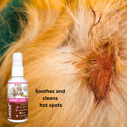 Pet Probiotic Dermo (Wound) Care - 100ml Spray