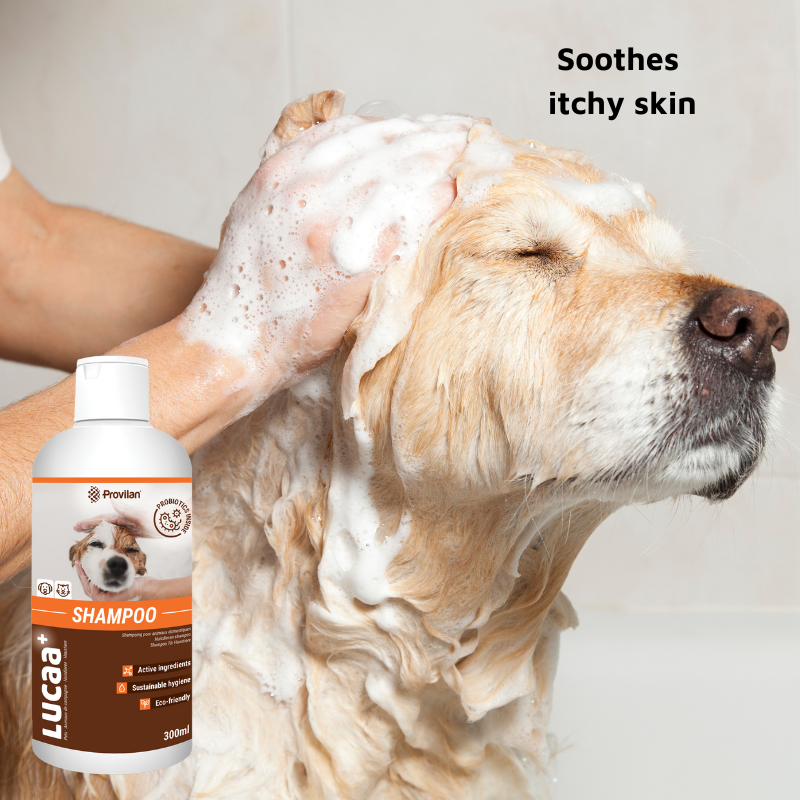 Pet Probiotic Shampoo