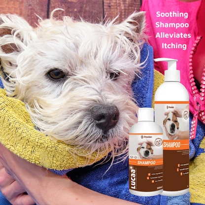Pet Skin Allergy Remedy Pack - FREE Probiotic Laundry Detergent 300ml!