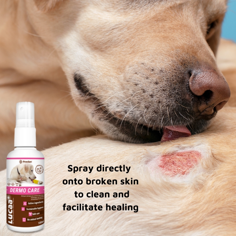 Dog Wound Care Spray Ingenious Probiotics Ingenious Probiotics