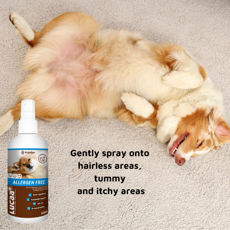 Pet Probiotic Eye Care - 100ml Spray